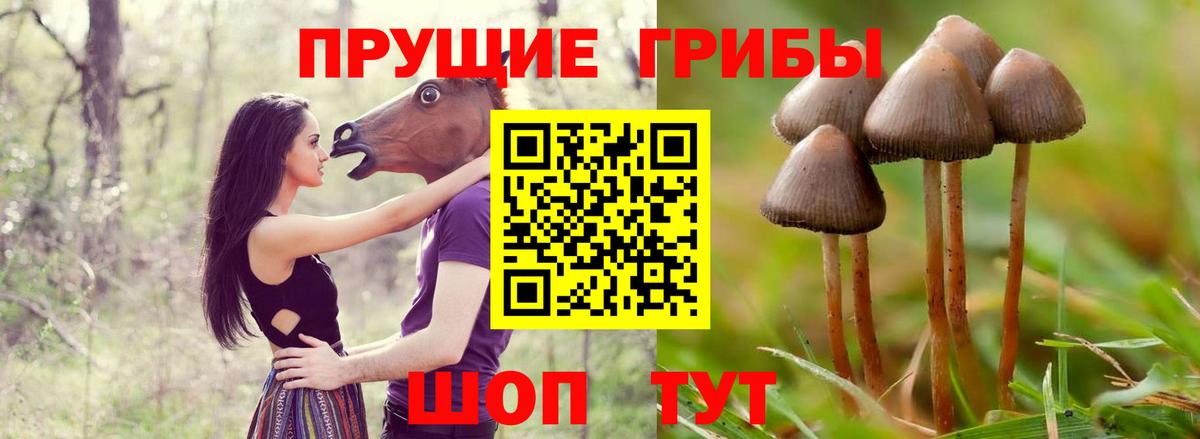 Евпатория  Галлюциногенные грибы Magic Shrooms  Галлюциногенные грибы ЛСД  Вход с VPN 